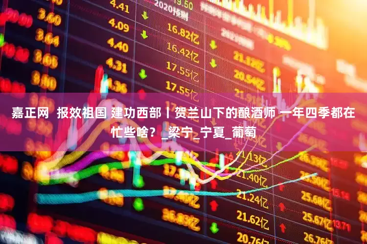 嘉正网  报效祖国 建功西部丨贺兰山下的酿酒师 一年四季都在忙些啥？_梁宁_宁夏_葡萄