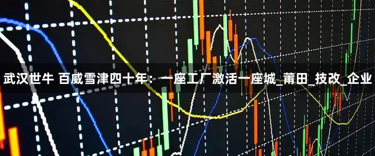 武汉世牛 百威雪津四十年：一座工厂激活一座城_莆田_技改_企业
