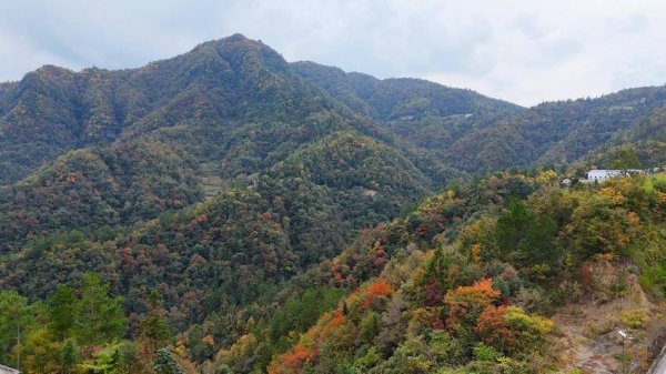 98策略 巴东：静谧秋山 斑斓如画